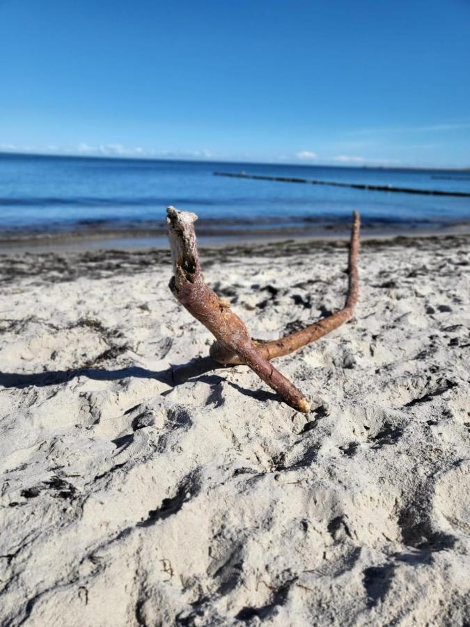 Strandhaus Wittower Heide Glowe Eksteriør bilde